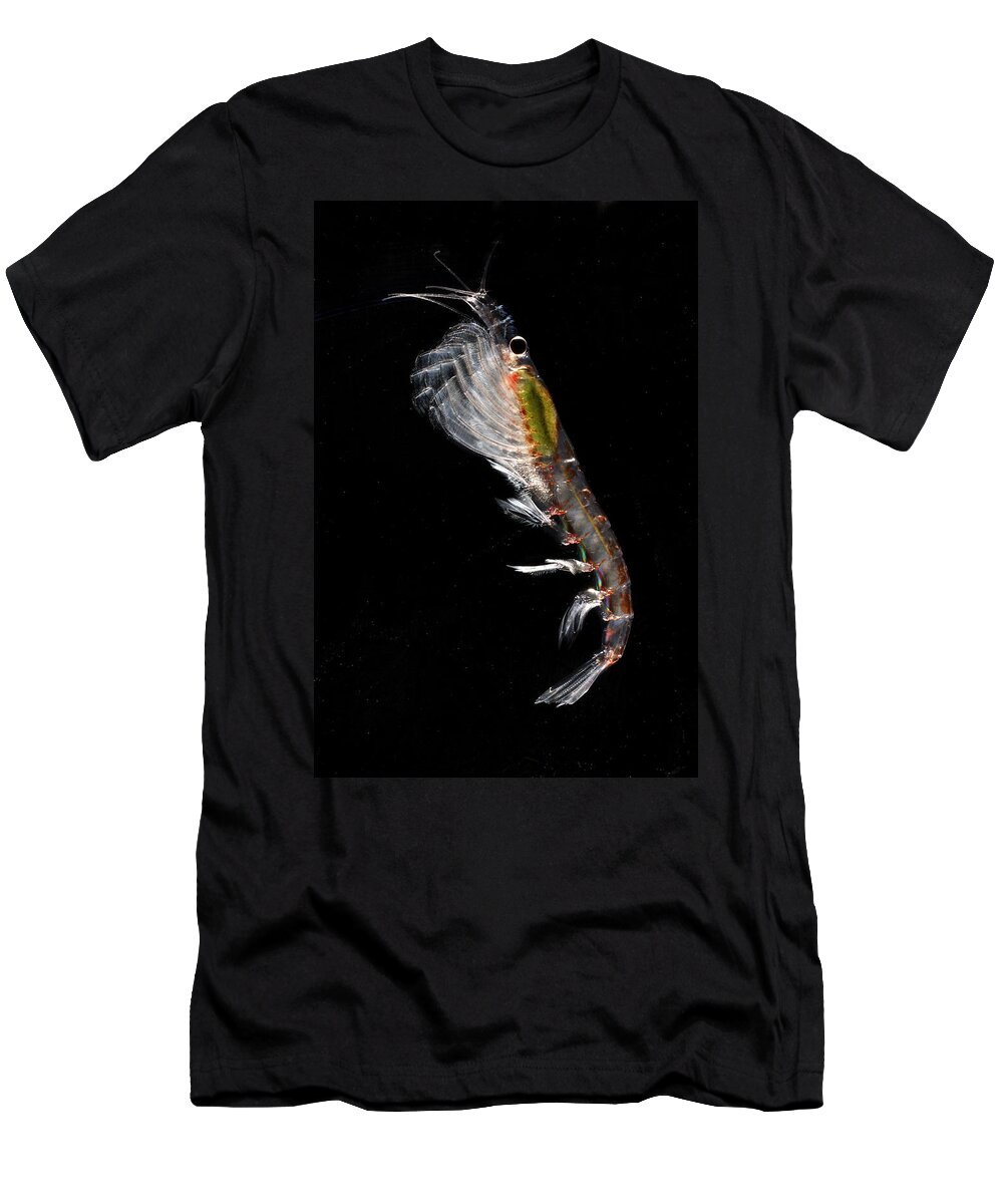 Feb0514 T-Shirt featuring the photograph Antarctic Krill Antarctica by Hiroya Minakuchi