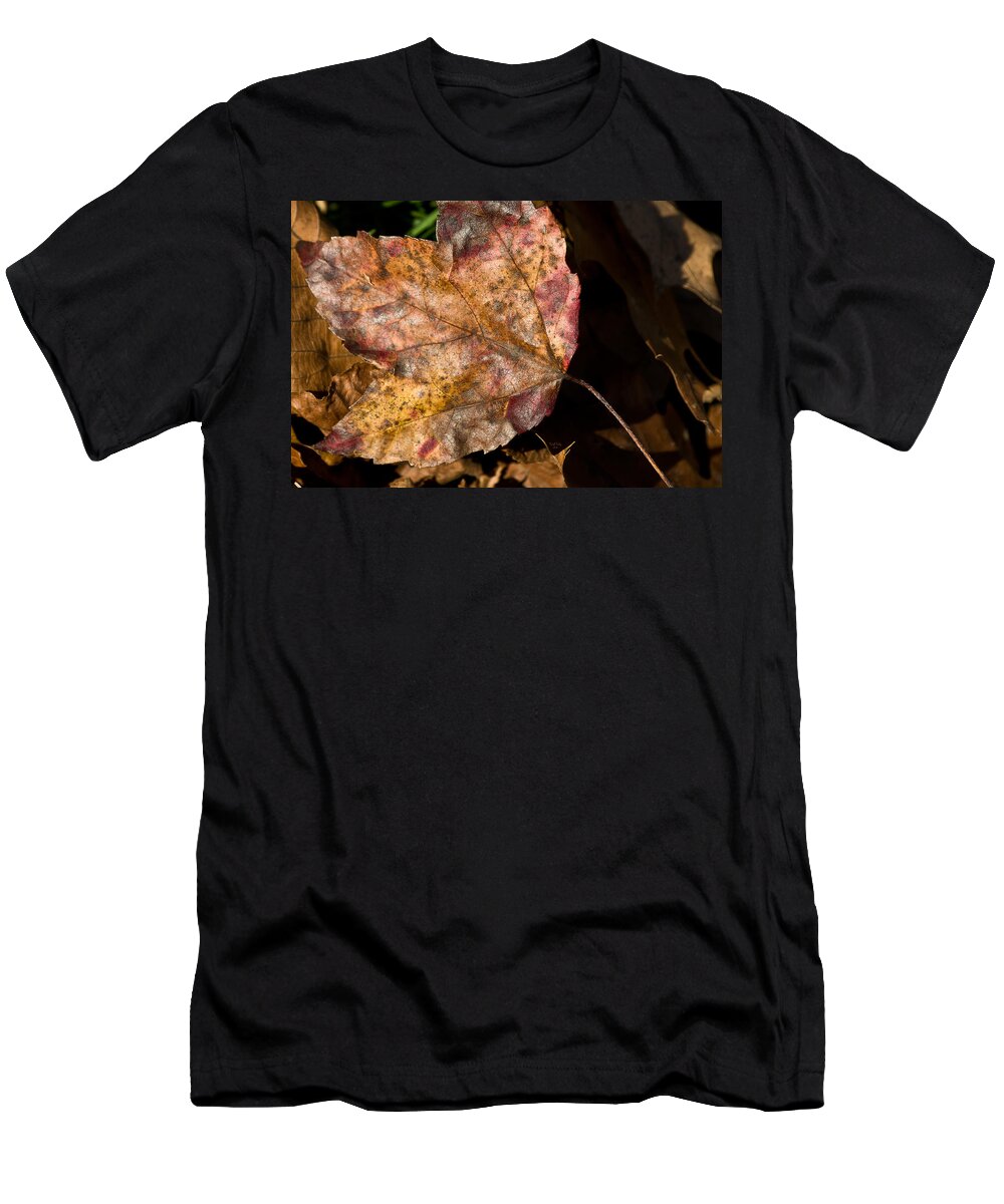 Leaves T-Shirt featuring the mixed media Apple Crisp by Trish Tritz
