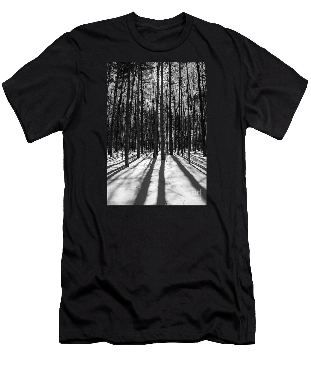 Arboretum T-Shirt featuring the photograph Arboretum Trees by Steven Ralser