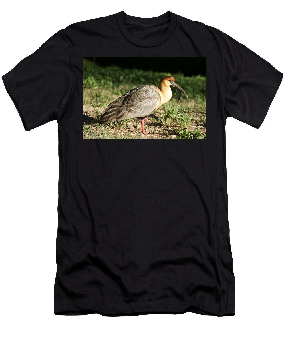 Photograph T-Shirt featuring the photograph Argentinian Bird by Richard Gehlbach