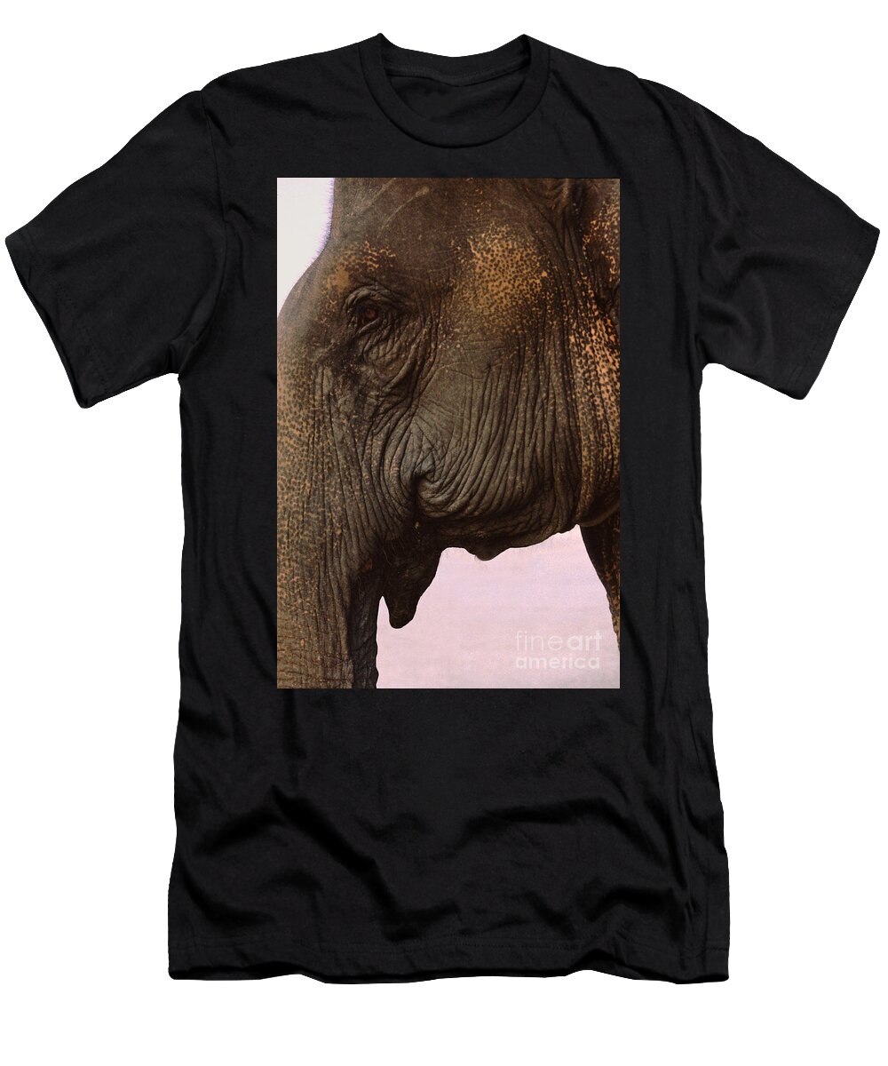 Elephant T-Shirt featuring the photograph Asian Elephant in Thailand by Anna Lisa Yoder