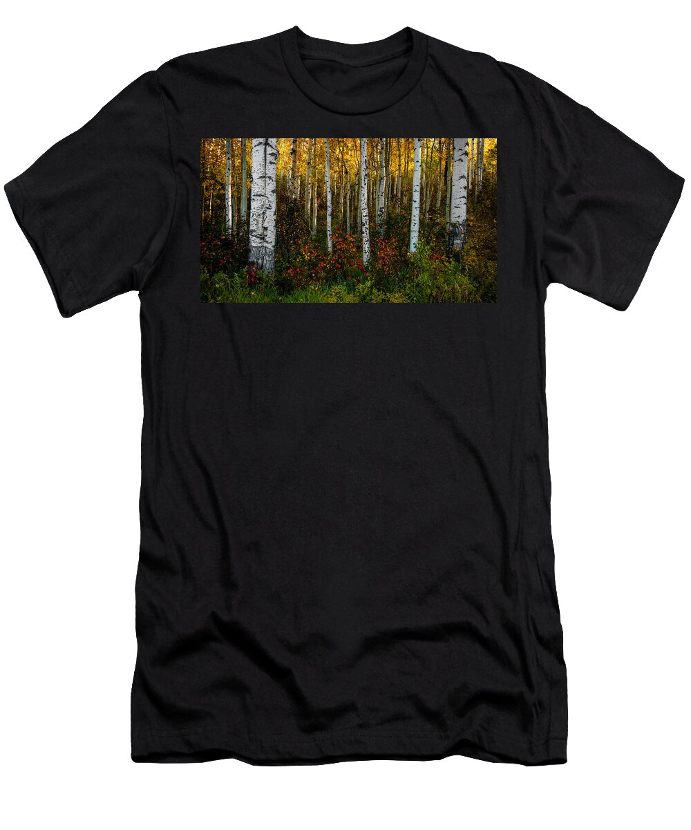 Colorado T-Shirt featuring the photograph Aspen Floor by Ken Smith