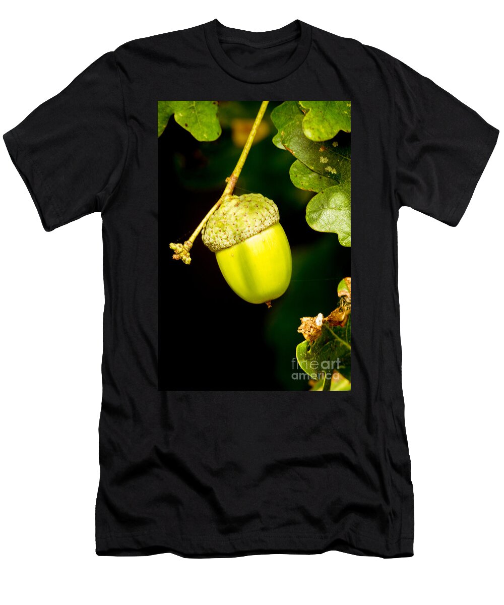 Acorn T-Shirt featuring the photograph Autumn Acorn by Matt Malloy