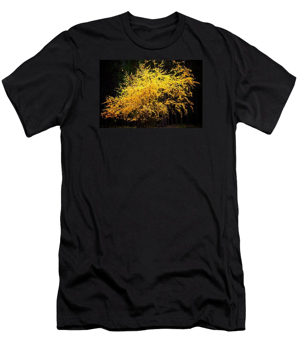 Abstract T-Shirt featuring the photograph Autumn colors 4 by Newel Hunter