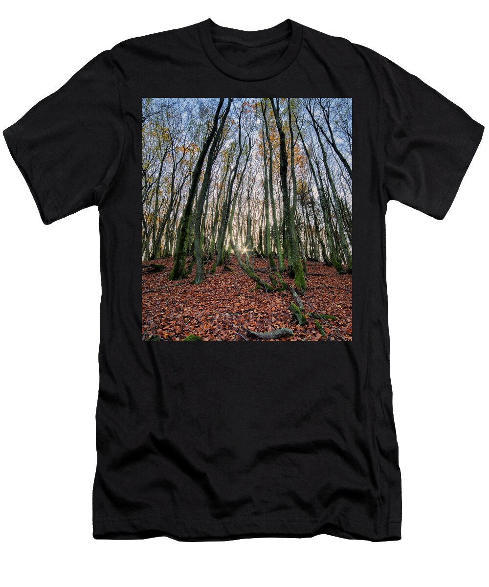 Forest T-Shirt featuring the photograph Autumn colors in the forrest by Mike Santis