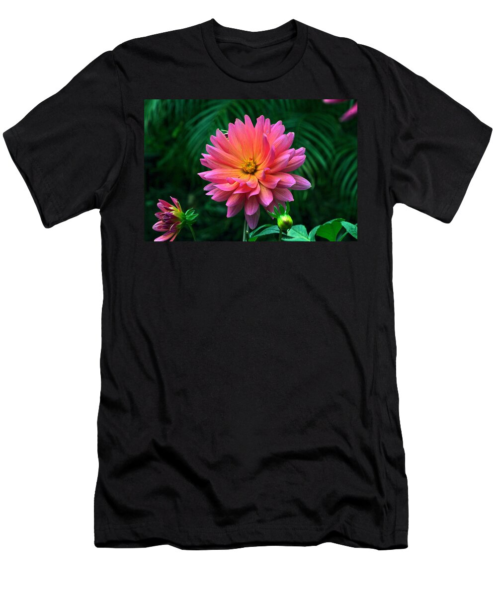 Dahlia Flowers And Buds T-Shirt featuring the photograph Autumn Dahlias And Palms by Byron Varvarigos