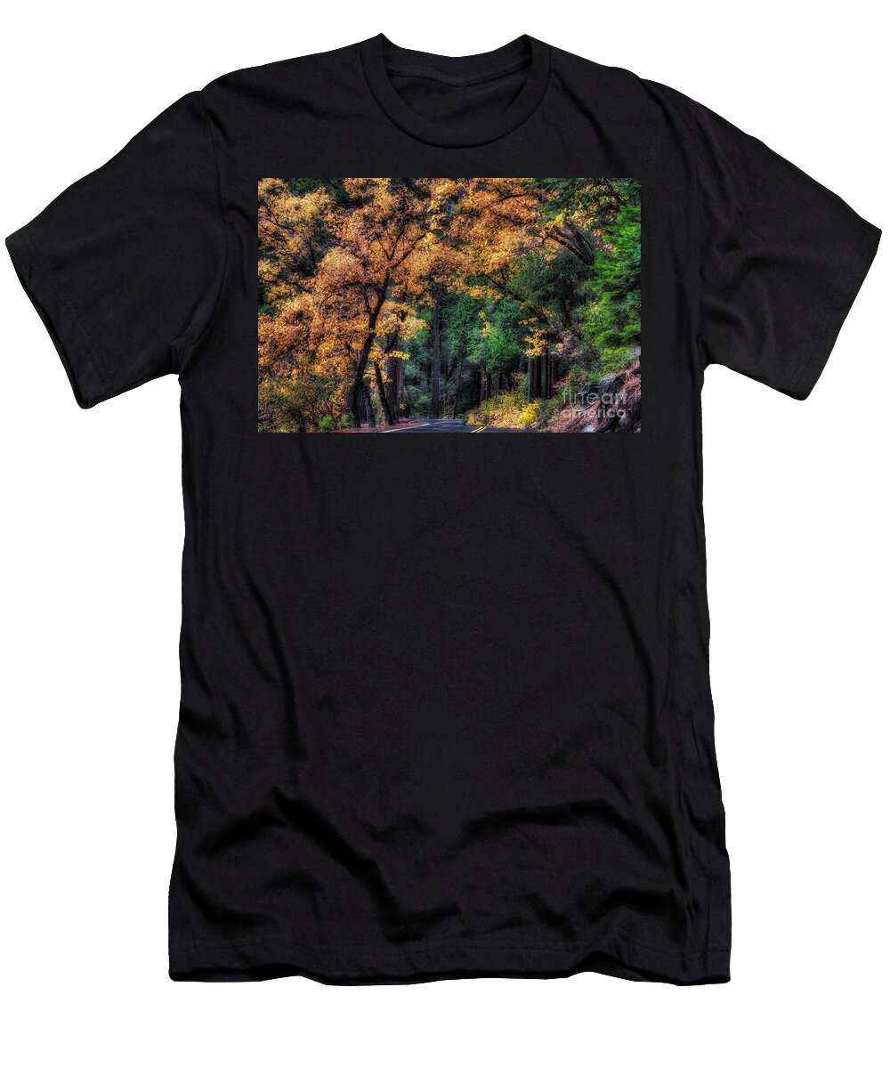 Yosemite T-Shirt featuring the photograph Autumn Glow by Anthony Michael Bonafede