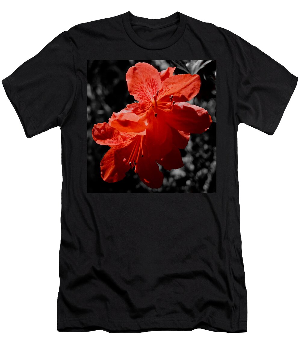 Macro T-Shirt featuring the photograph Azalea in Shadows sc by Pete Trenholm