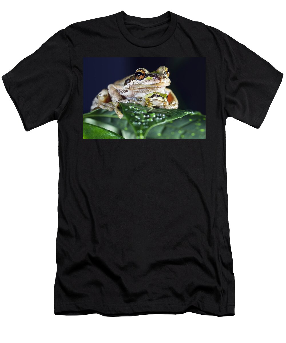 Frog T-Shirt featuring the photograph Baby frog and mama frog by William Lee