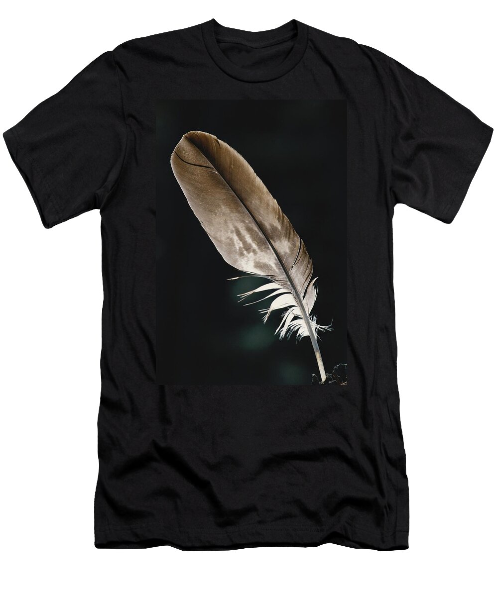 Accipitridae T-Shirt featuring the photograph Bald Eagle Feather by Thomas And Pat Leeson
