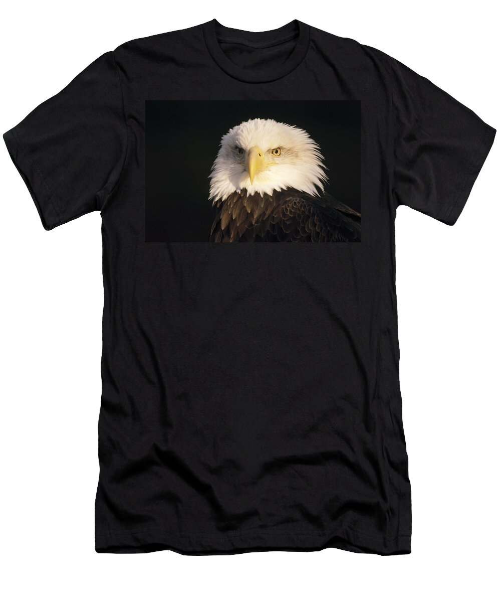 Feb0514 T-Shirt featuring the photograph Bald Eagle Portrait by Gerry Ellis