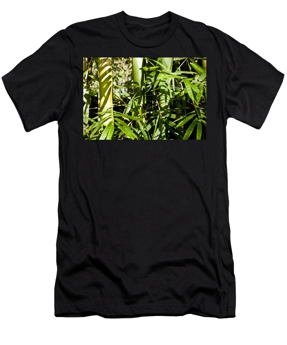 Bamboo T-Shirt featuring the photograph Bamboo and Leaves DB by Rich Franco