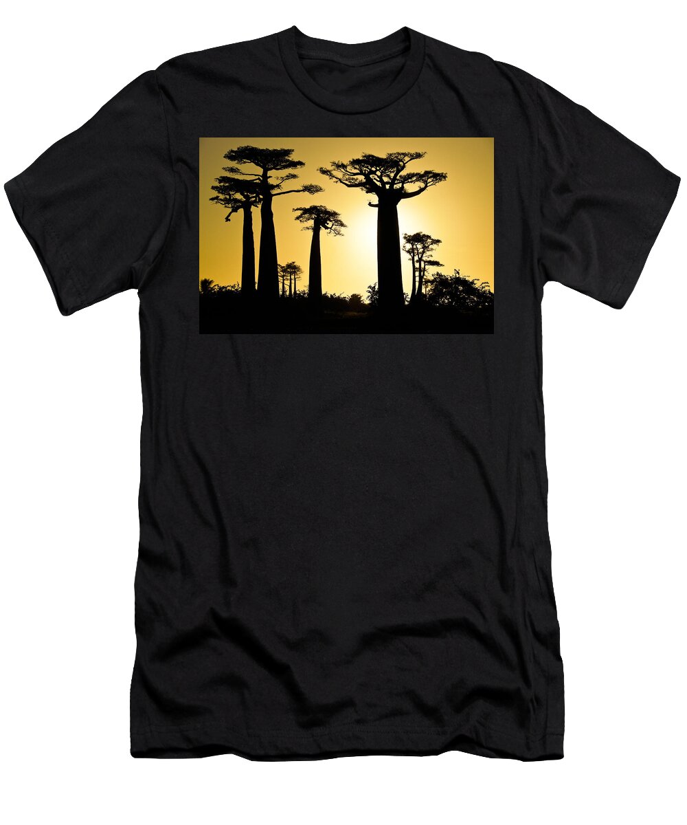 Africa T-Shirt featuring the photograph Baobab Silhouette by Michele Burgess