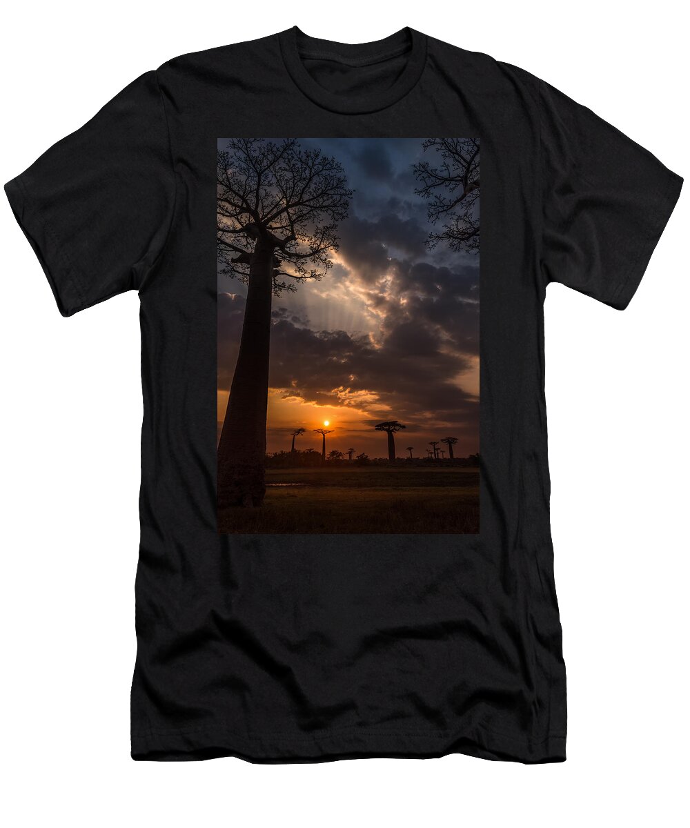 Baobab T-Shirt featuring the photograph Baobab Sunrays by Linda Villers