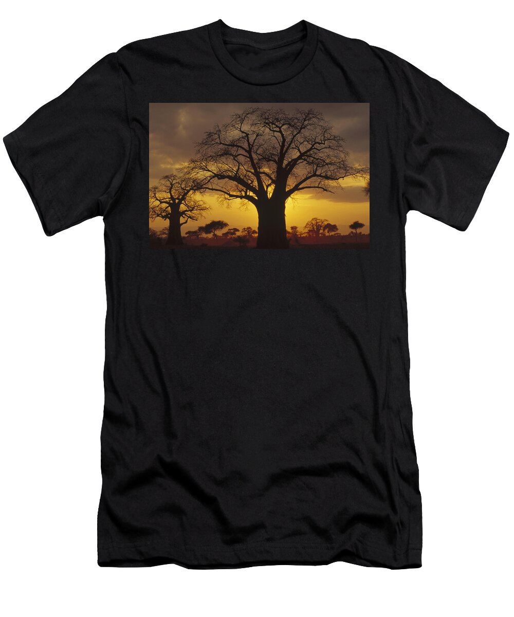 Feb0514 T-Shirt featuring the photograph Baobab Tree At Sunset Tanzania by Gerry Ellis