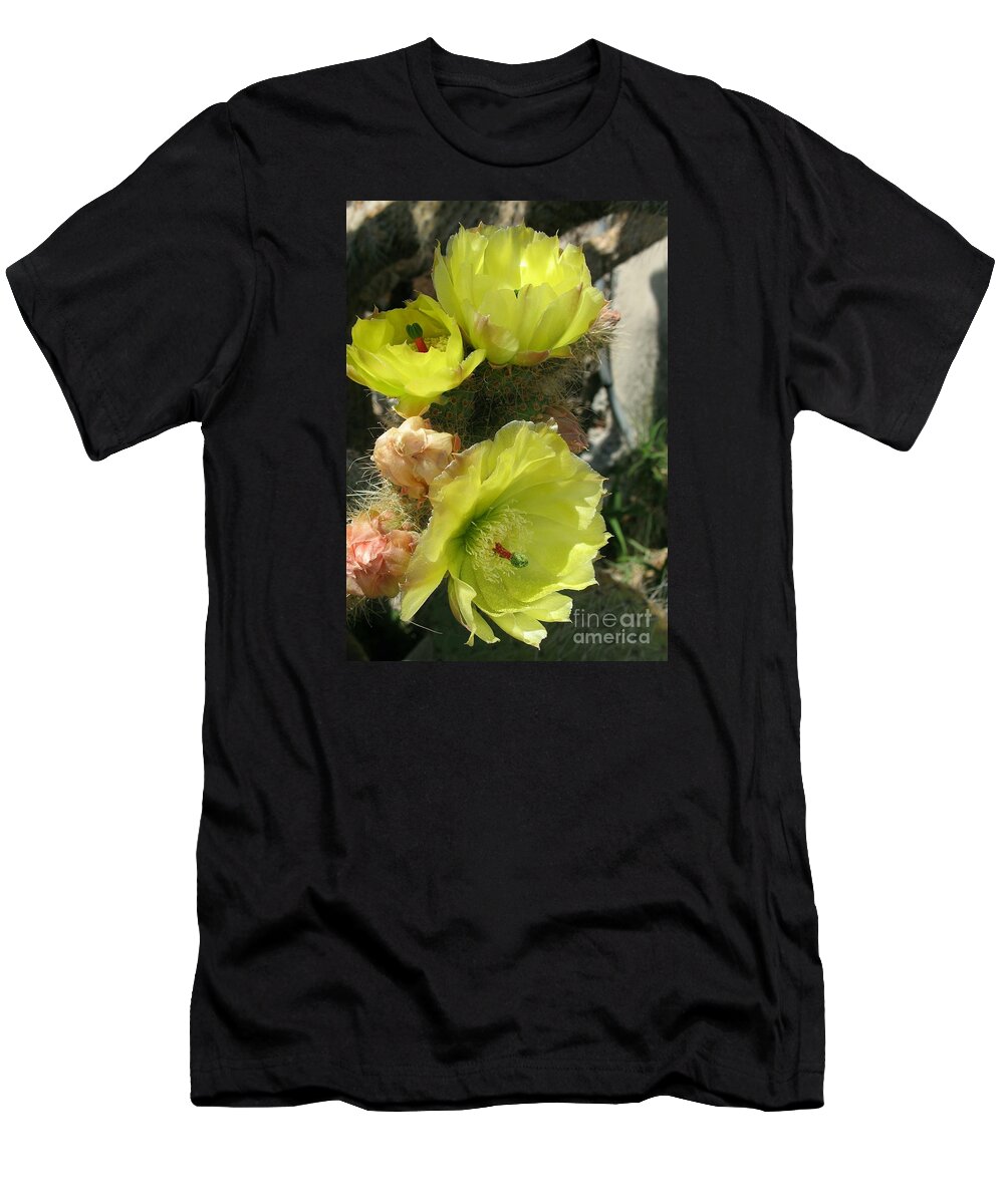 Cactus T-Shirt featuring the photograph Barded Beauty by Christiane Schulze Art And Photography