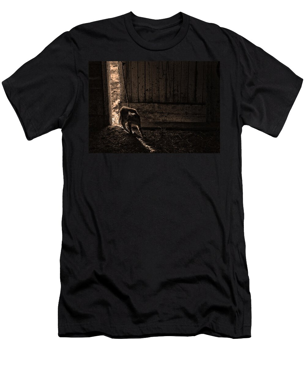 Cats T-Shirt featuring the photograph Barn Cat by Theresa Tahara