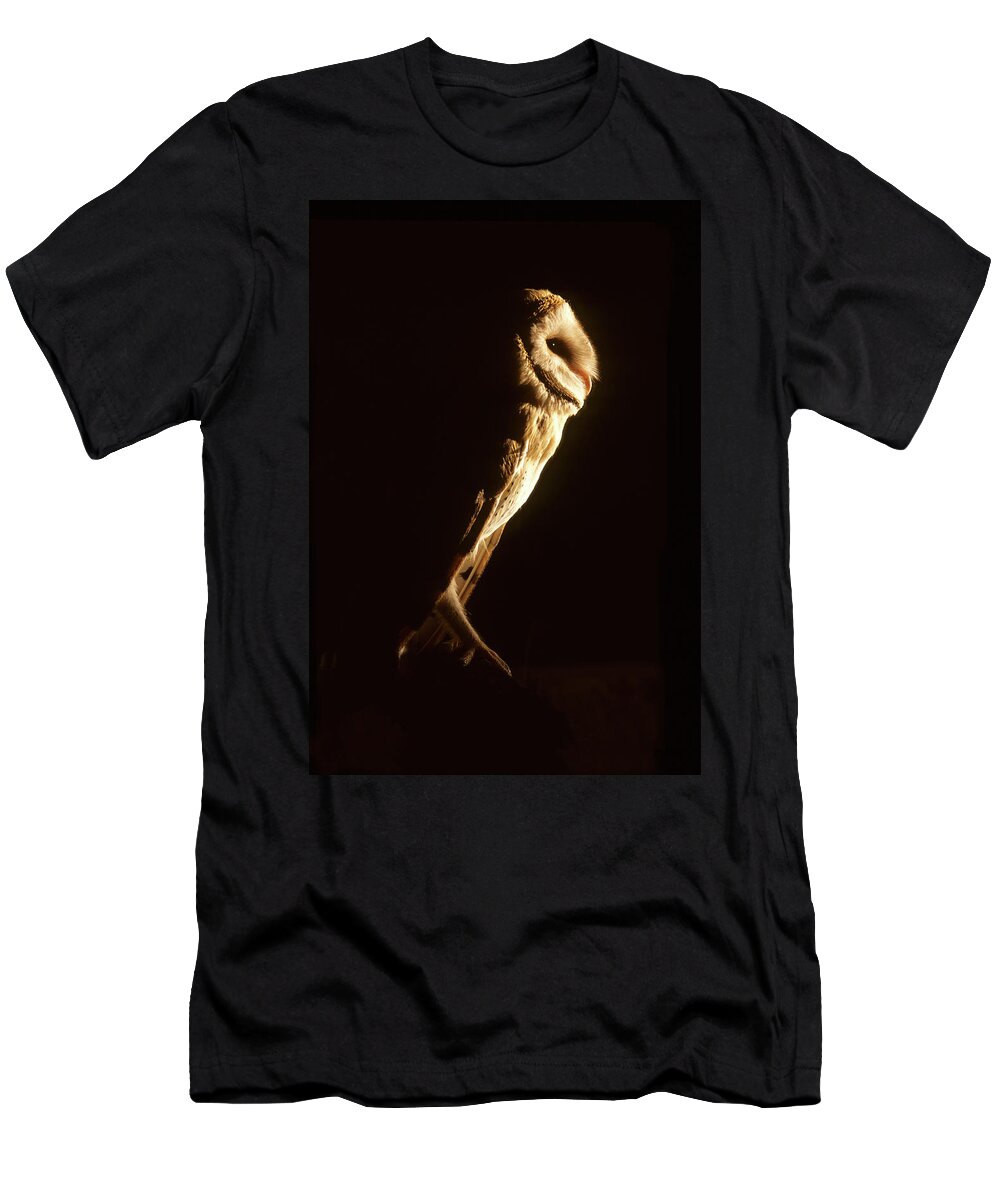 Wildlife T-Shirt featuring the photograph Barn Owl Tyto Alba, Barn Owl Sitting by David Santiago Garcia