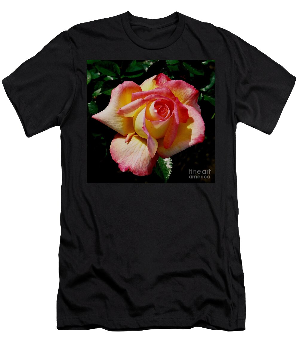Rose T-Shirt featuring the photograph Beauty at its Best by Debby Pueschel