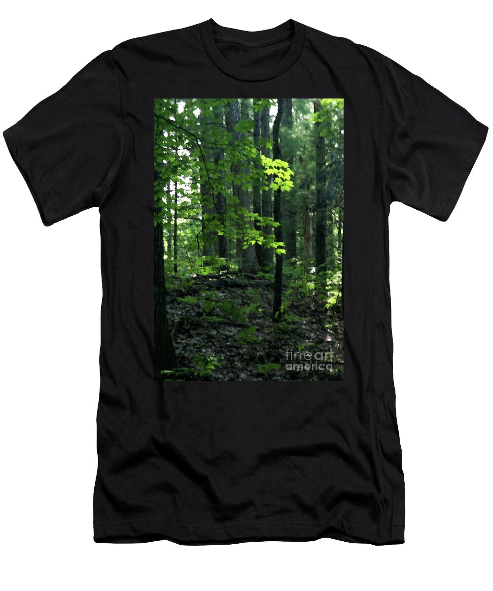 Forest T-Shirt featuring the photograph Beyond The Trees by Linda Shafer