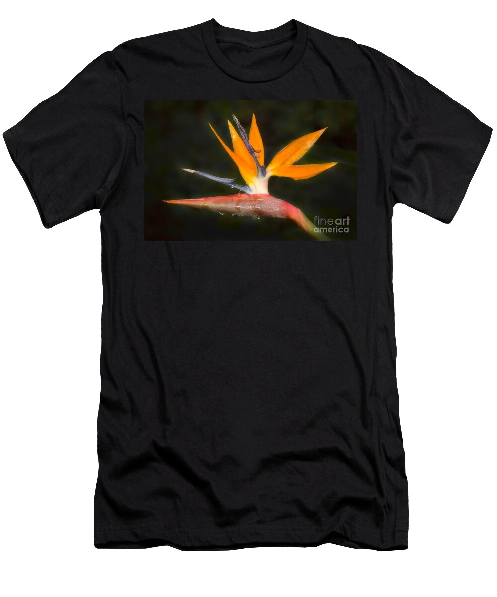 Paradise T-Shirt featuring the photograph Bird of Paradise by Donna Greene