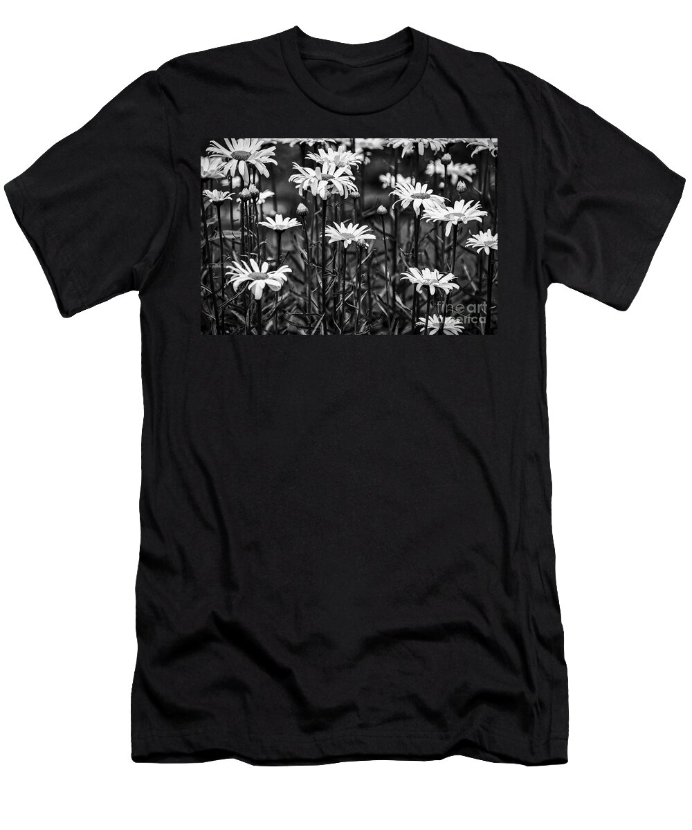 Background T-Shirt featuring the photograph Black and White Daisies by Mary Carol Story