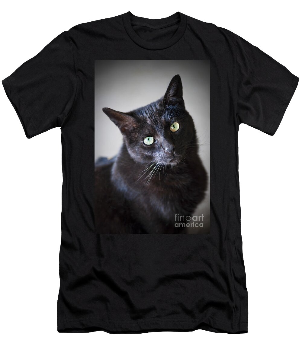 Cat T-Shirt featuring the photograph Black cat portrait by Elena Elisseeva
