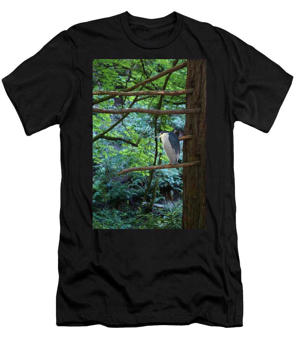 Heron T-Shirt featuring the photograph Black-Crowned Night Heron by Ben Upham III