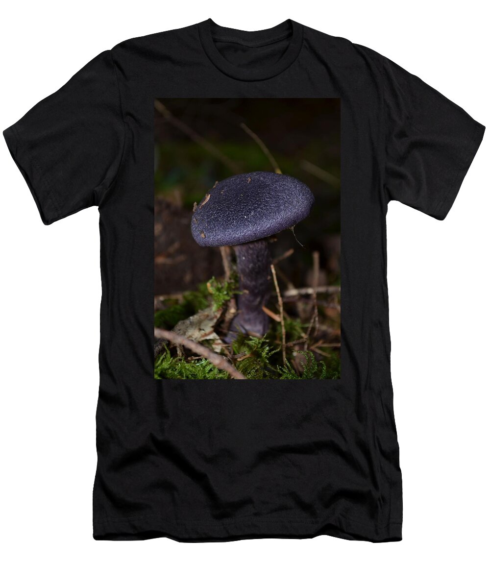 Black Mushroom T-Shirt featuring the photograph Black Mushroom by Laureen Murtha Menzl