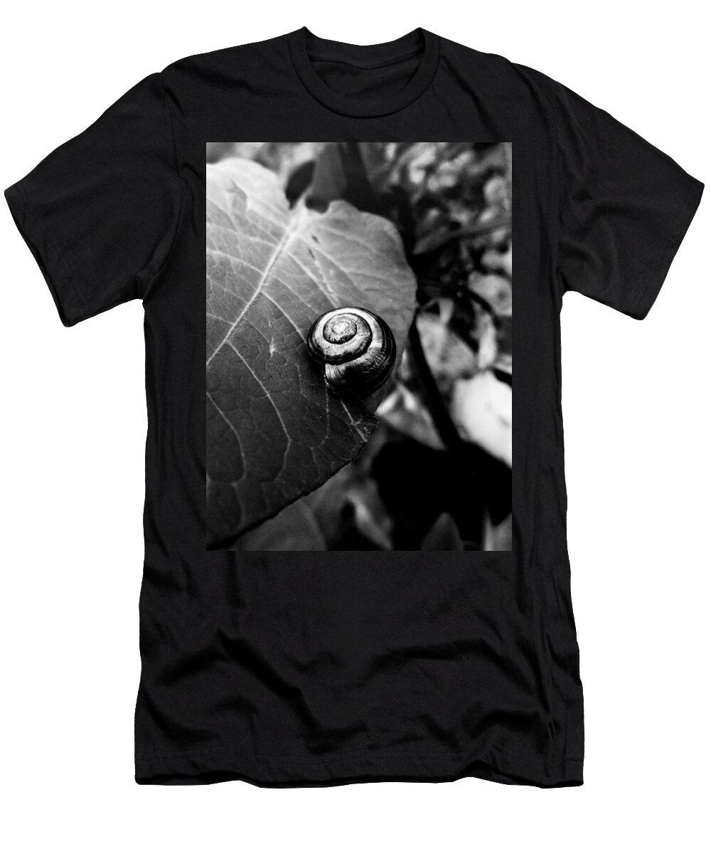Snail T-Shirt featuring the photograph Black Swirl by Zinvolle Art