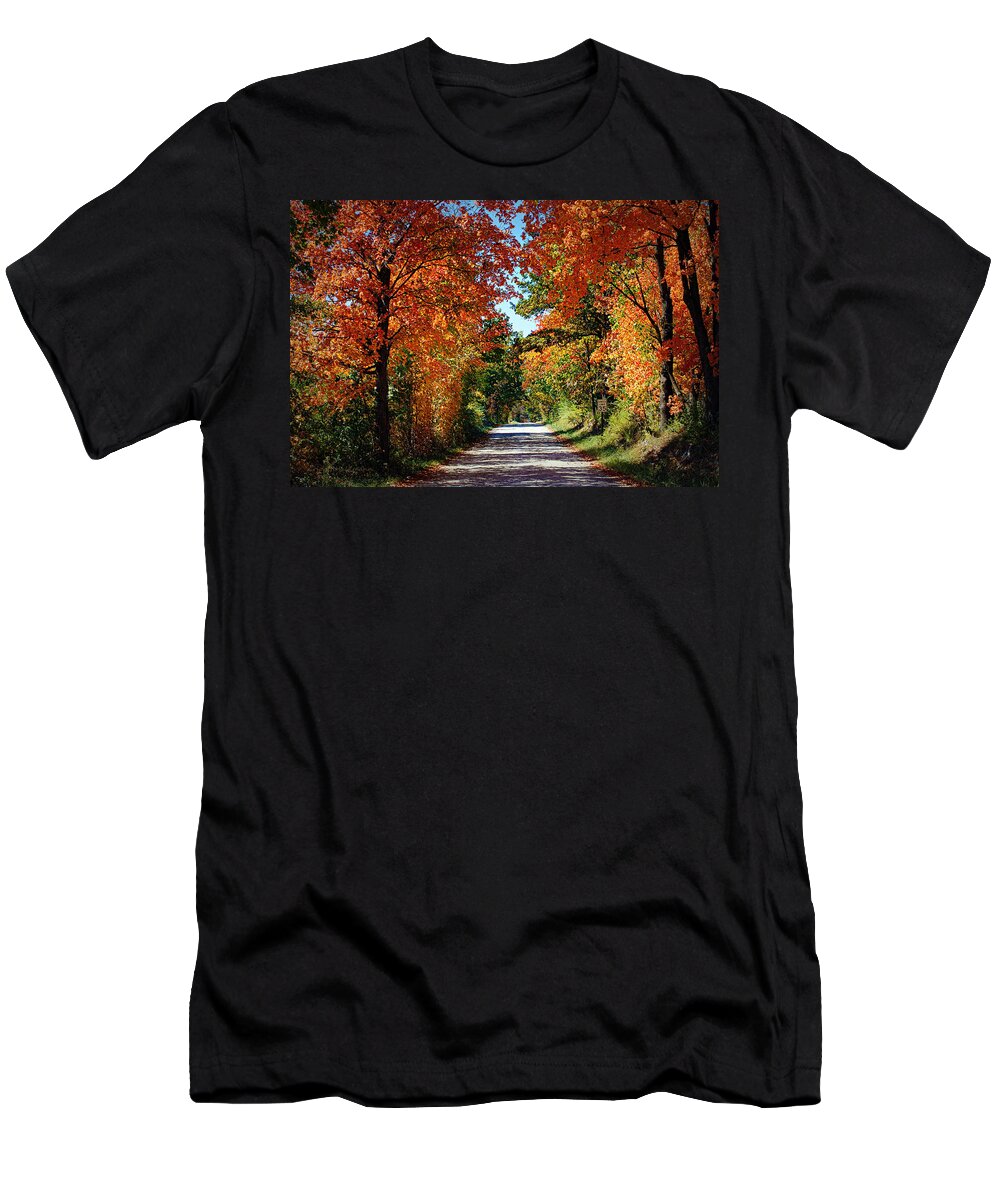 Trees T-Shirt featuring the photograph Blaze of Glory by Cricket Hackmann