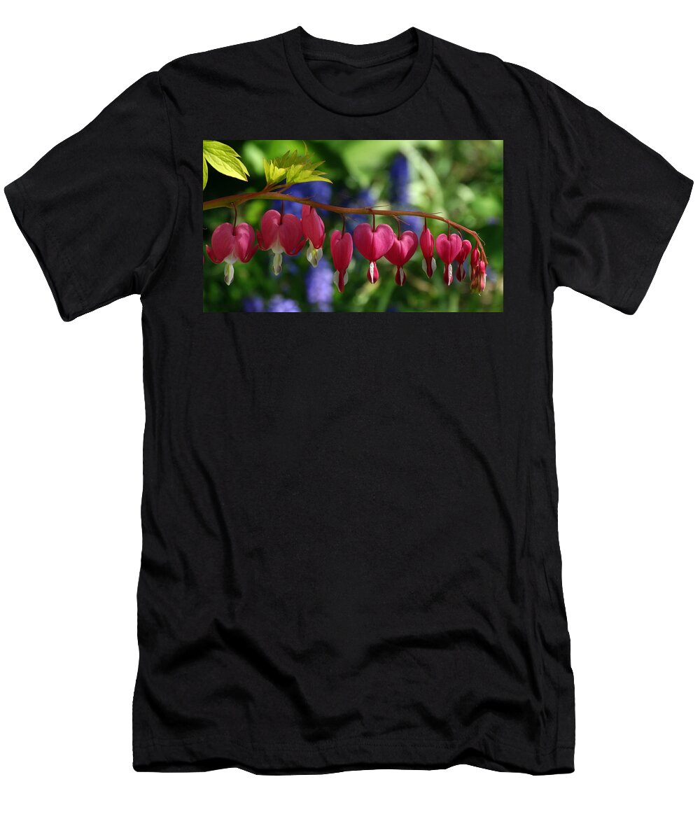 Flowers T-Shirt featuring the photograph Bleeding Hearts by David T Wilkinson