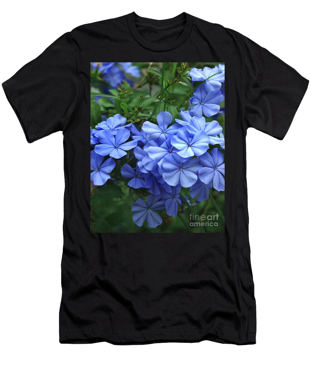 Plumbago T-Shirt featuring the photograph Blue Plumbago in full bloom by Peter Piatt