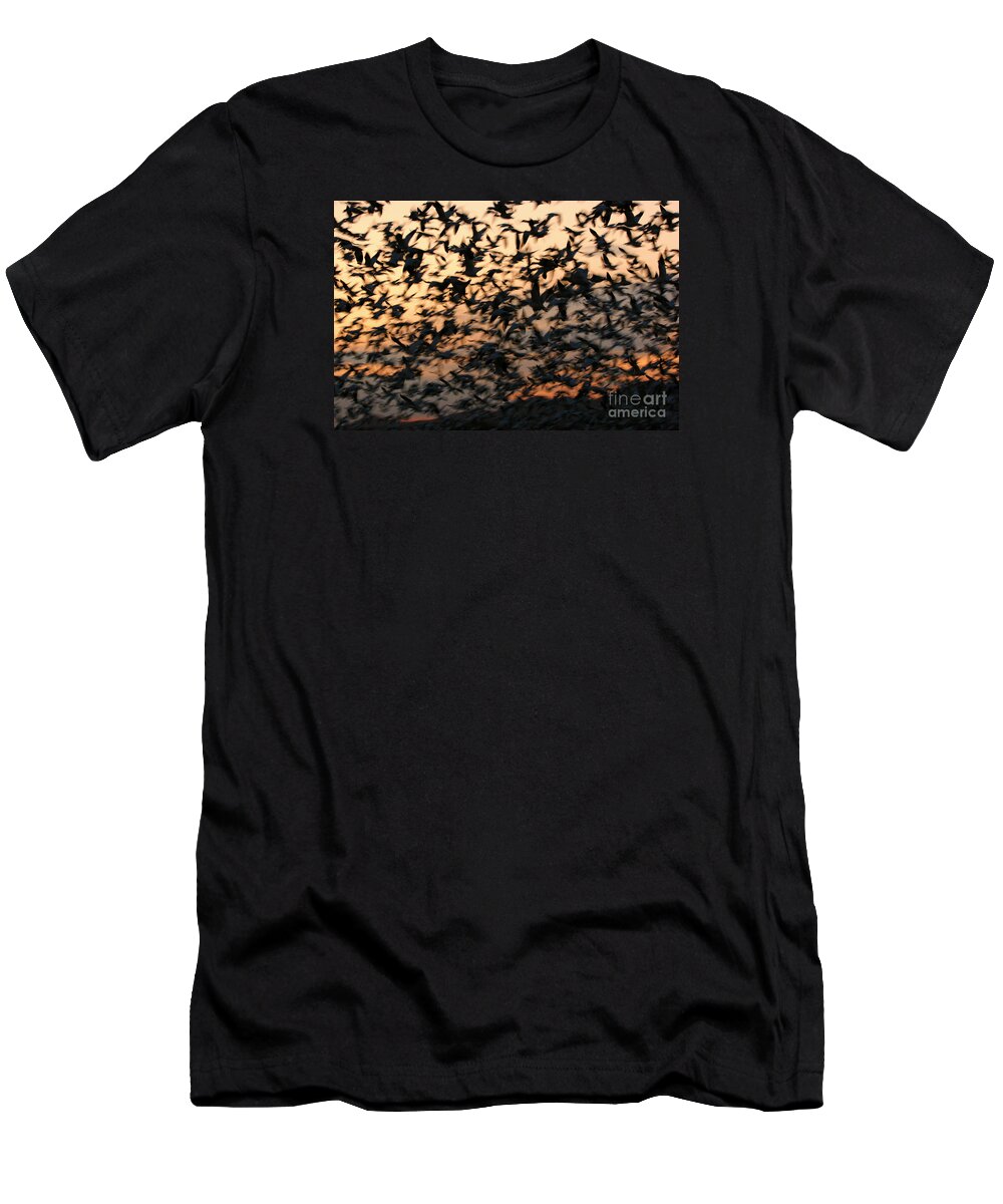 Snow Geese T-Shirt featuring the photograph Bosque Sunrise Blastoff by John F Tsumas