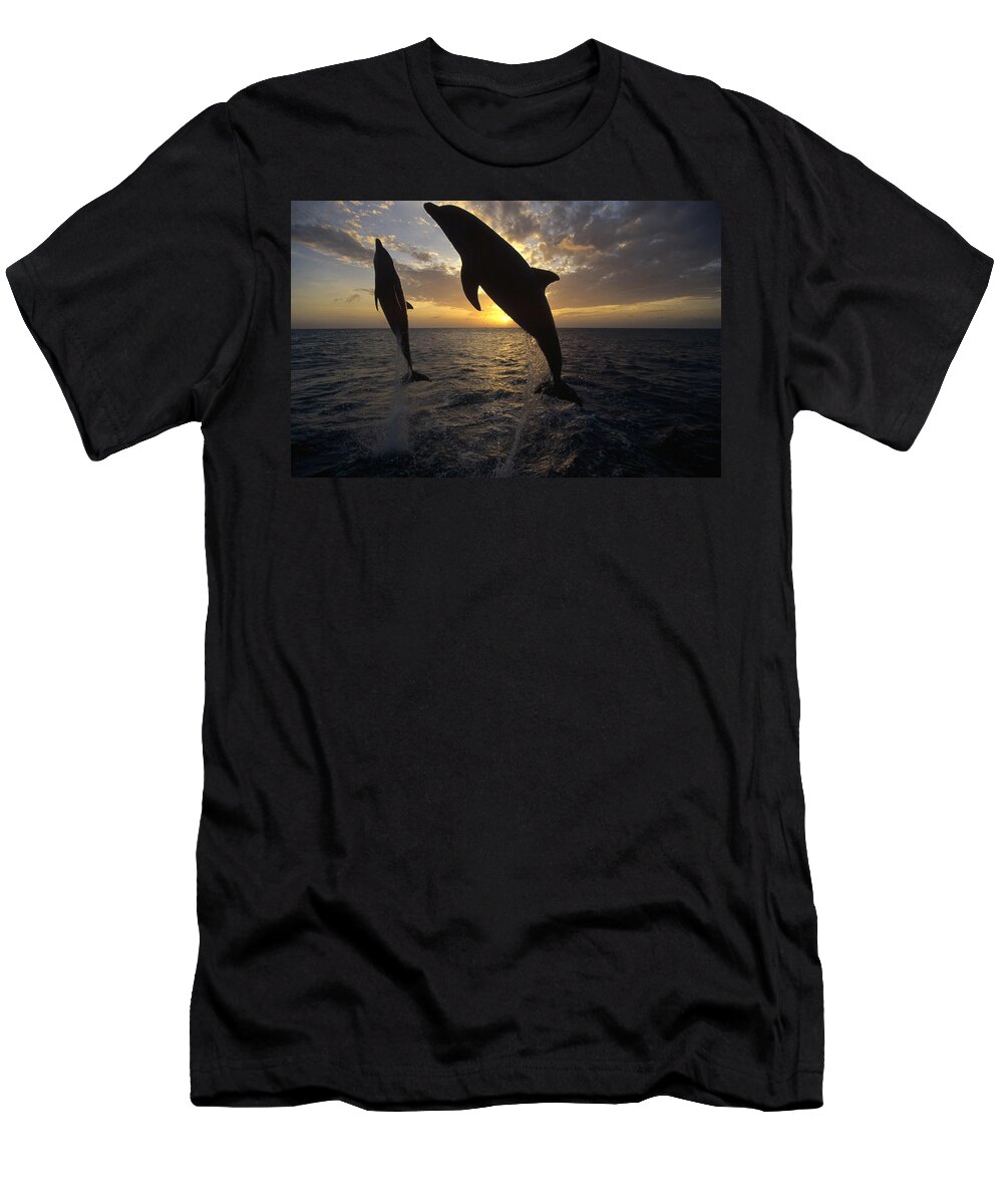 Feb0514 T-Shirt featuring the photograph Bottlenose Dolphins Leaping At Sunrise by Konrad Wothe