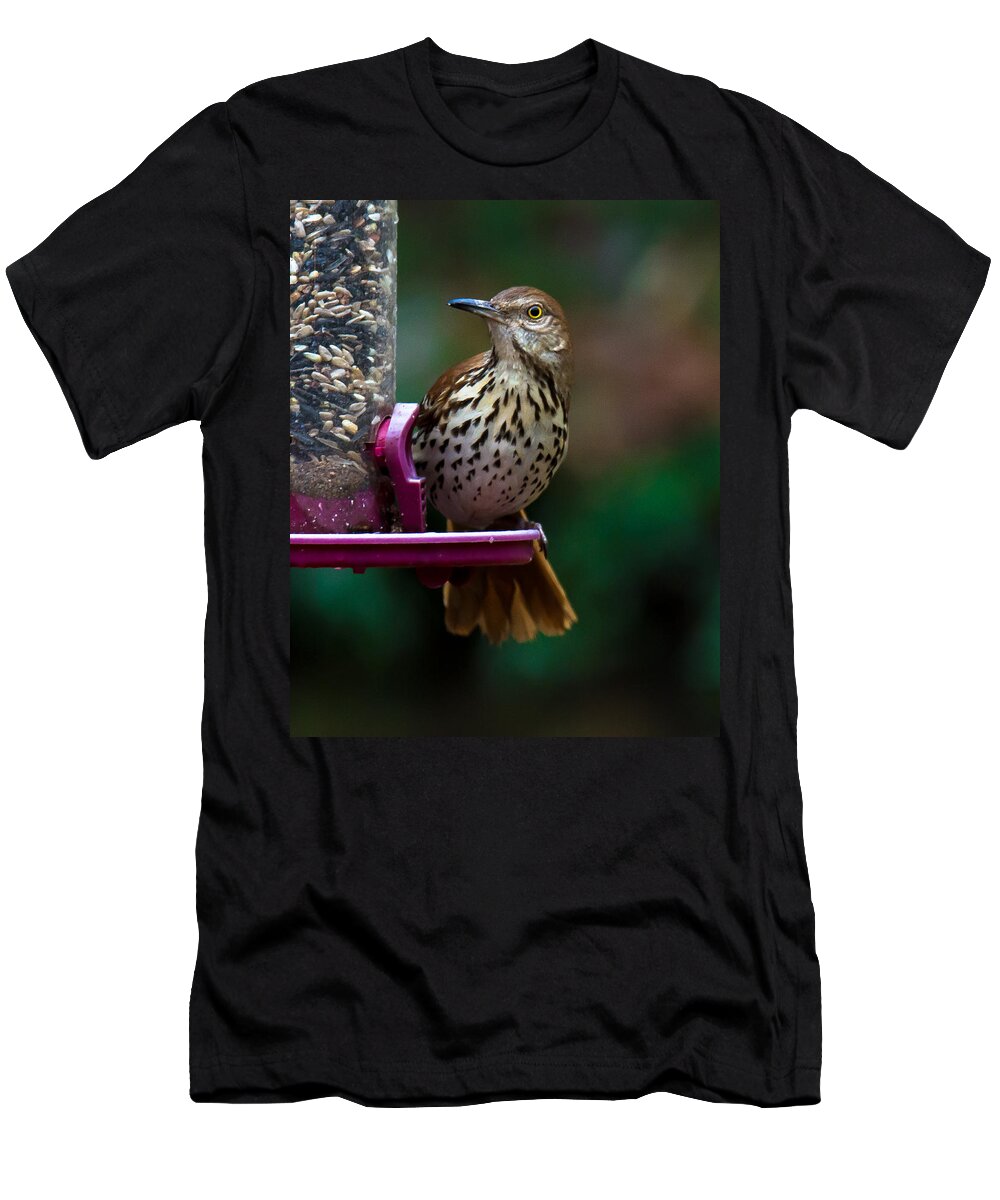 Brown Thrasher T-Shirt featuring the photograph Brown Thrasher - State Bird of Georgia by Robert L Jackson