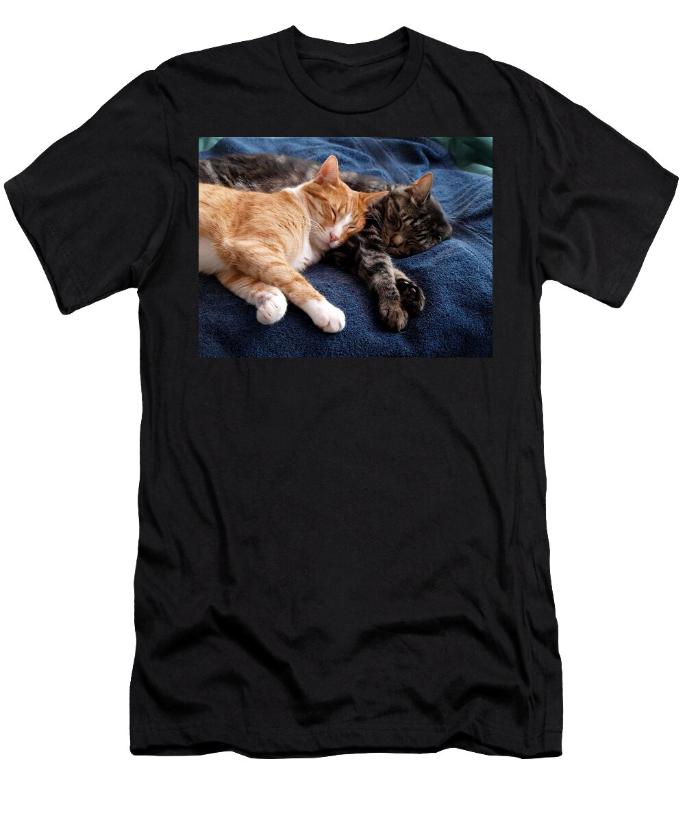Kitty T-Shirt featuring the photograph Buddies for life by Teri Schuster