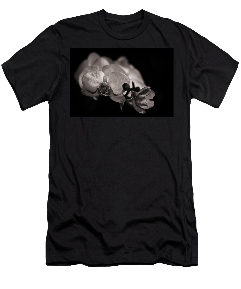 Flowers T-Shirt featuring the photograph Budding by Rob Dietrich