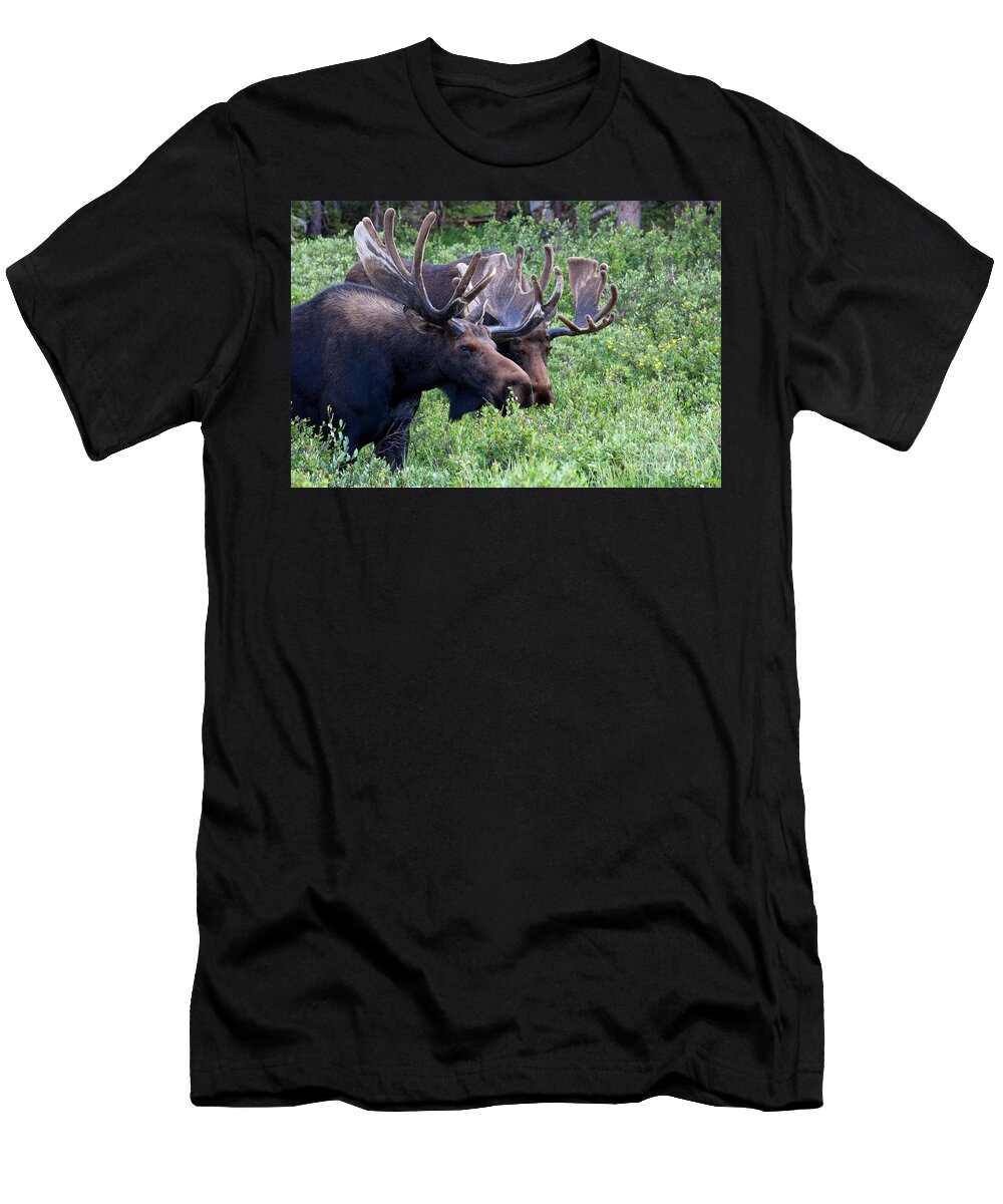 Moose; Moose Photograph T-Shirt featuring the photograph Bulls of the Woods by Jim Garrison
