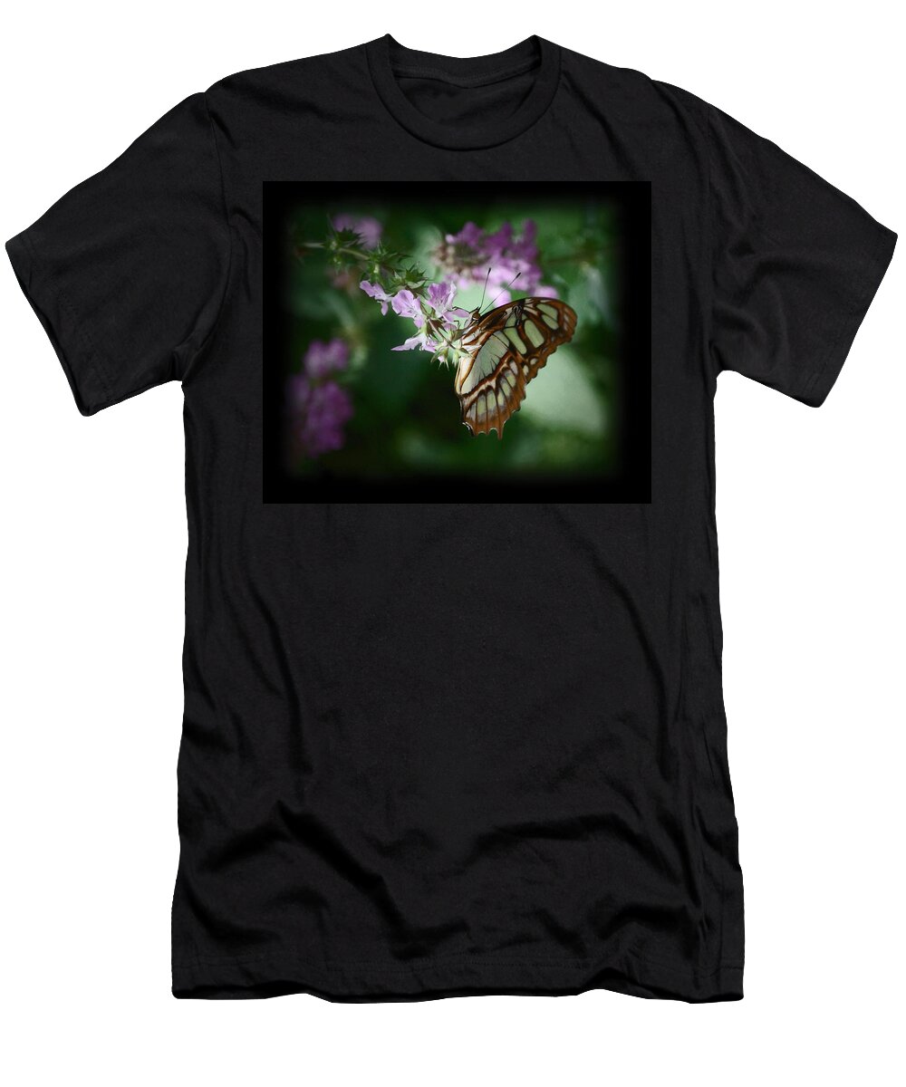 Butterfly T-Shirt featuring the photograph Butterfly 7 by Leticia Latocki