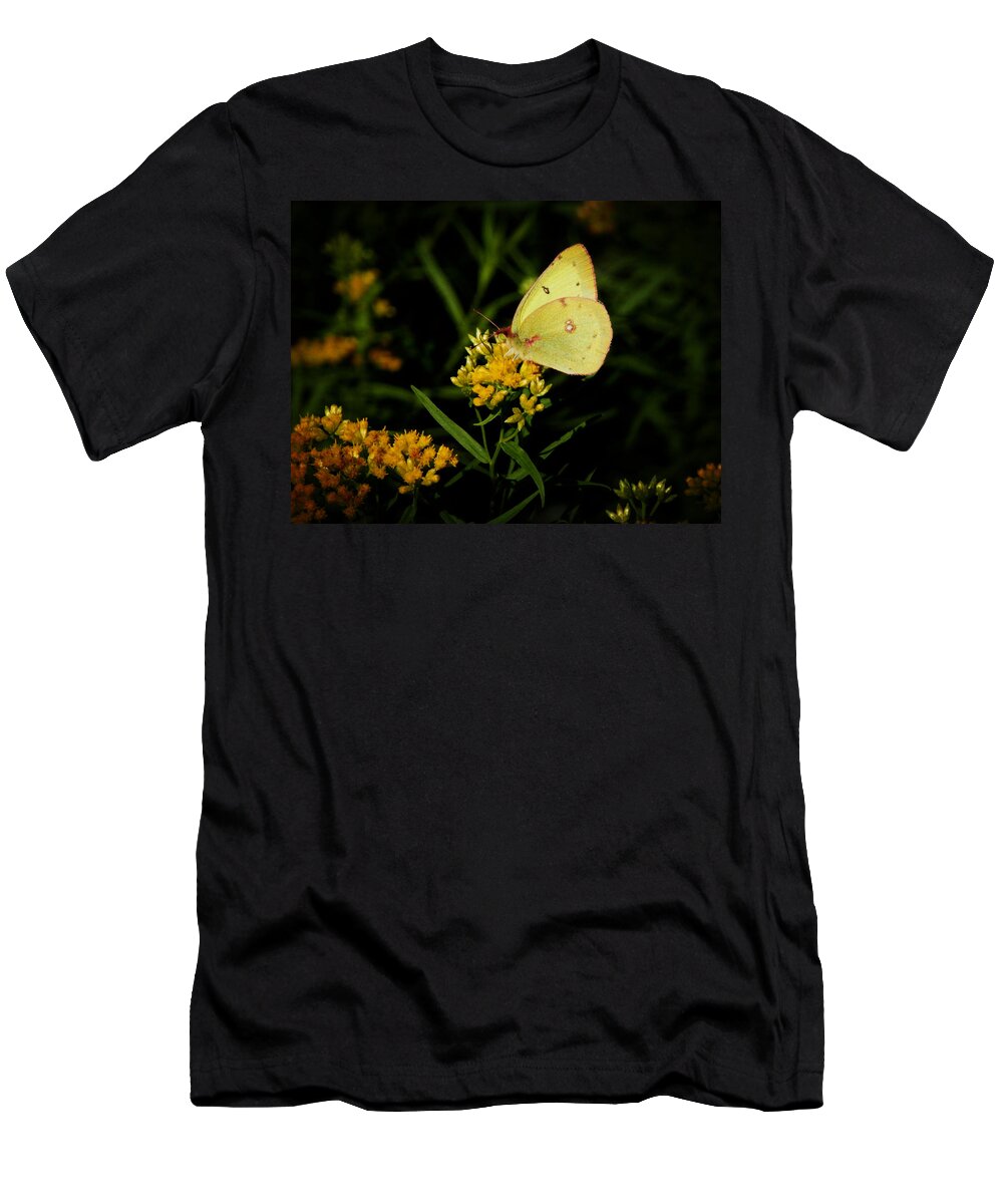 Butterfly T-Shirt featuring the photograph Butterfly Kiss by Zinvolle Art