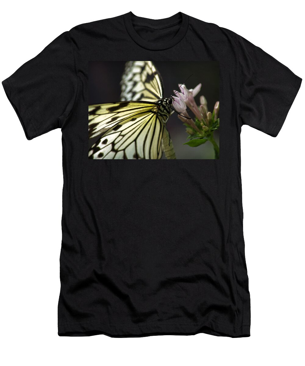 Butterfly Nature Flower Background Insect Beauty Spring Abstract Green Floral Illustration Plant Summer Leaf Vector Design Color Art Animal Wing Tree Black Fly Love Garden Beautiful Silhouette Decoration White Grunge T-Shirt featuring the photograph Butteryfly by John Swartz