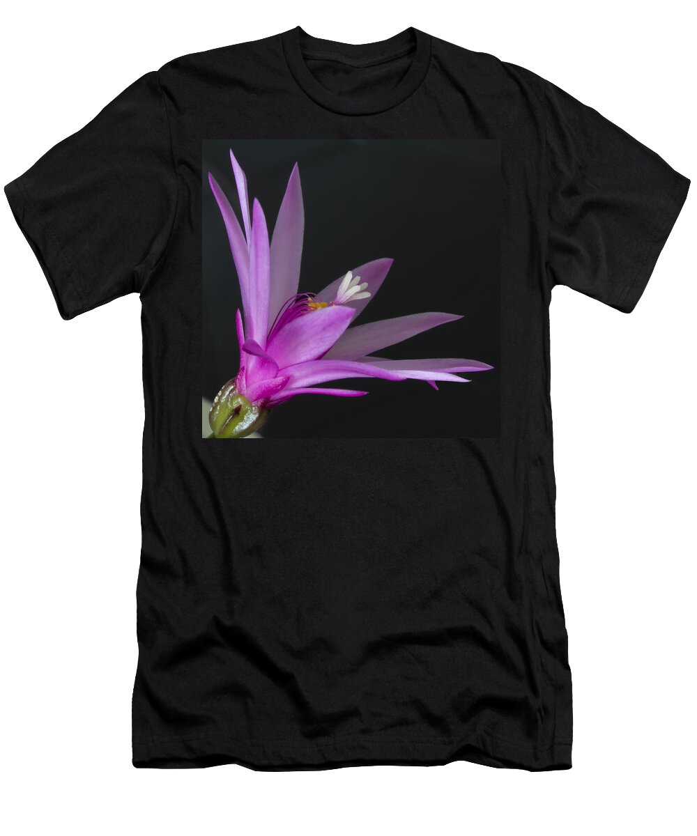 Floral T-Shirt featuring the photograph Cactus bloom by Shirley Mitchell