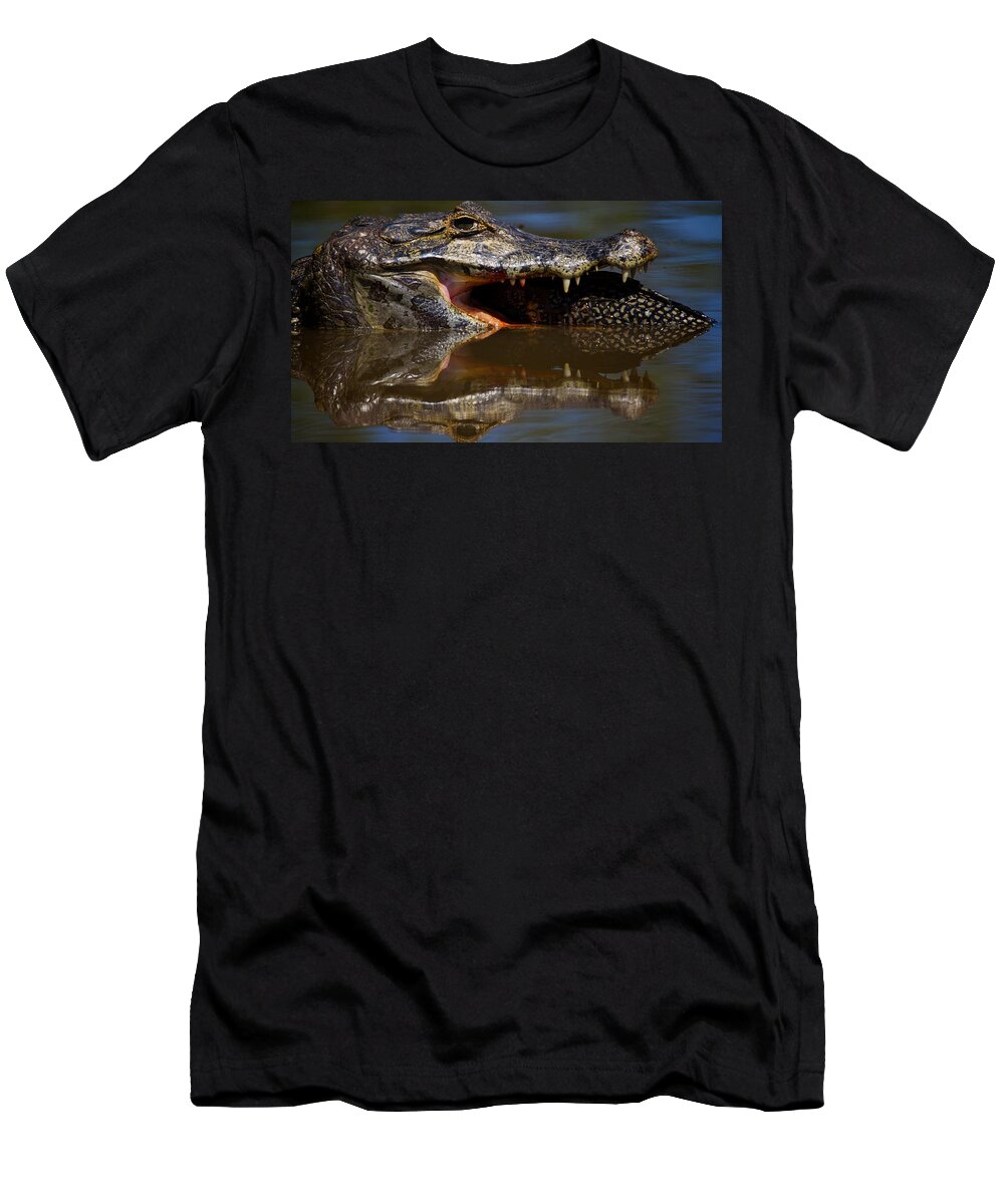 Brazil T-Shirt featuring the photograph Caiman vs Catfish 2 by David Beebe