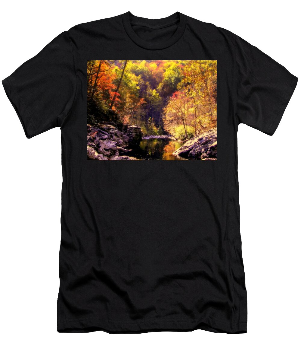 Mountain Streams T-Shirt featuring the photograph Calling Me Home by Karen Wiles