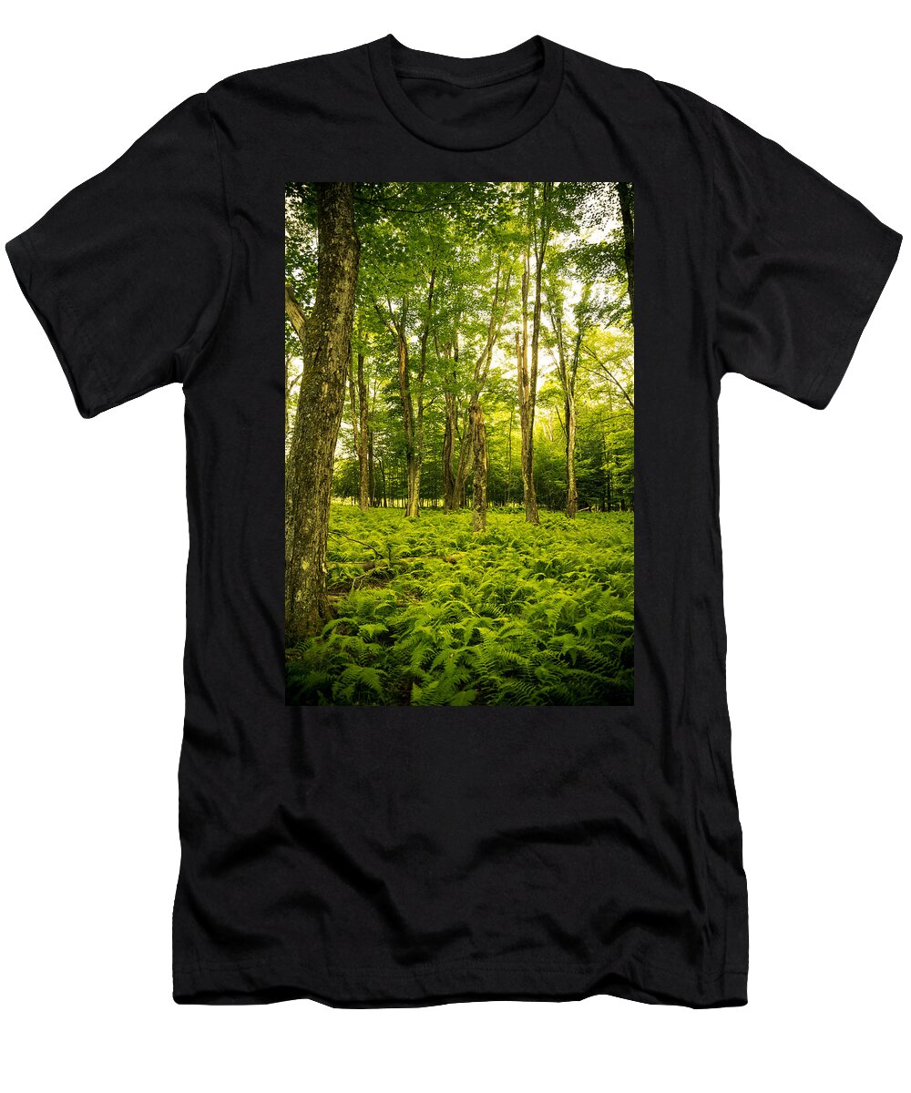 Canaan Valley T-Shirt featuring the photograph Canaan Path by Shane Holsclaw