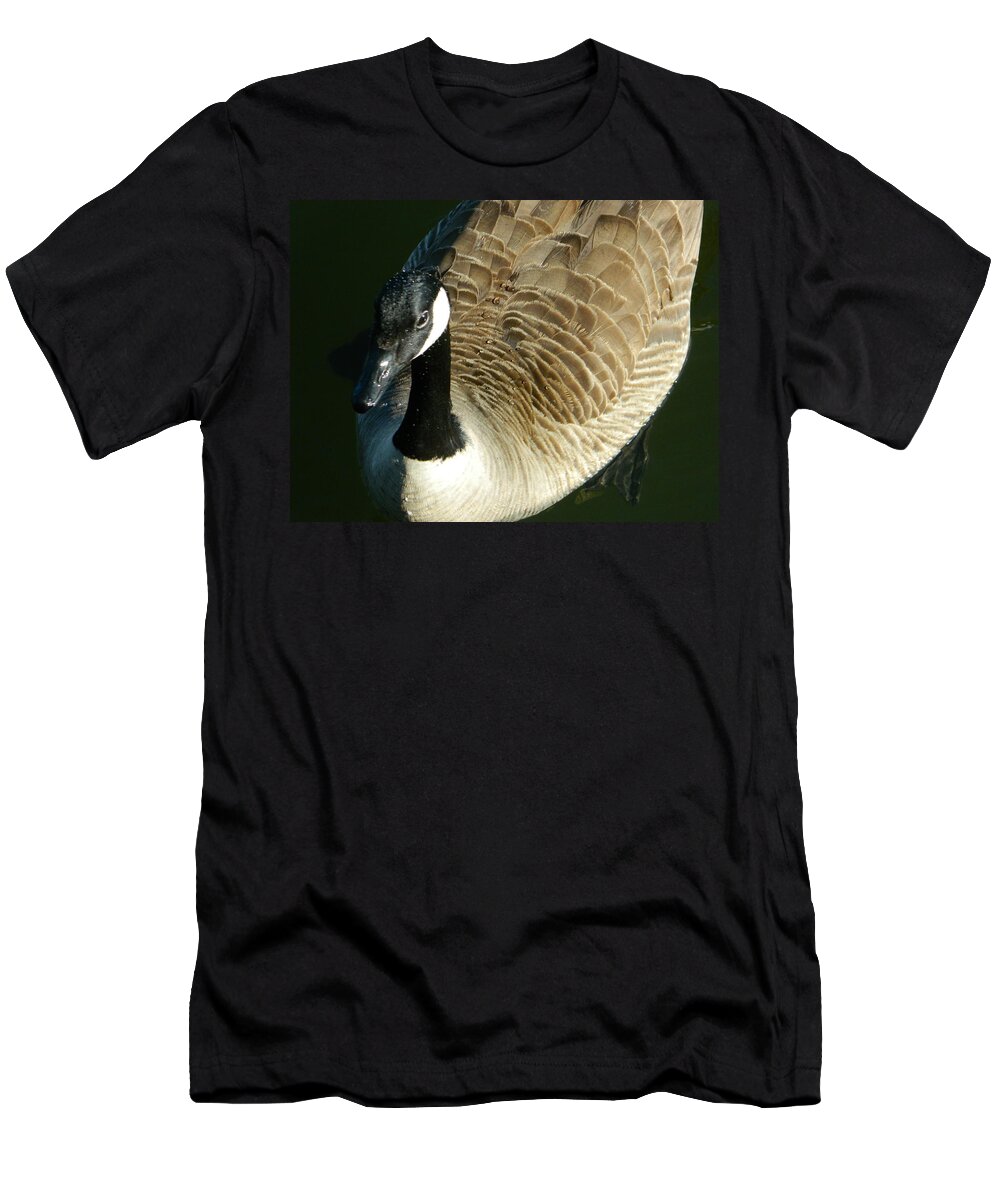 Canadian Goose Portrait T-Shirt featuring the photograph Canadian Goose Portrait by Emmy Vickers
