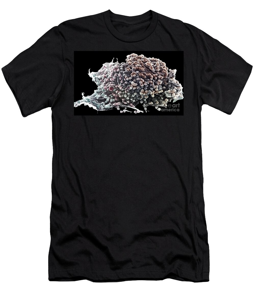 Cancer T-Shirt featuring the photograph Cancer Cell by David M Phillips