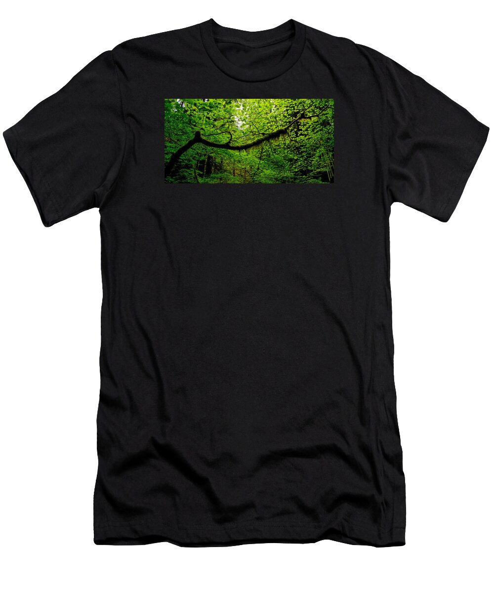 Washington T-Shirt featuring the photograph Canopy by Dustin LeFevre