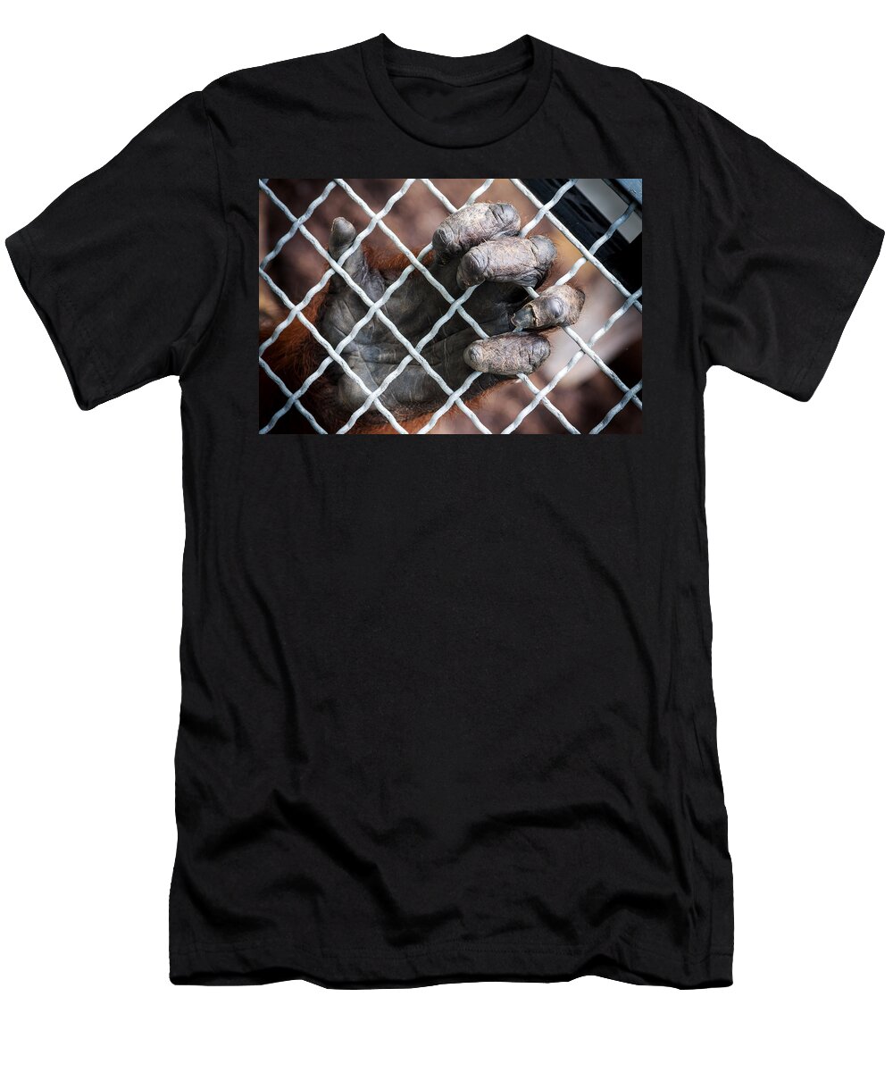 Orangutan T-Shirt featuring the photograph Captive Heart by Sennie Pierson